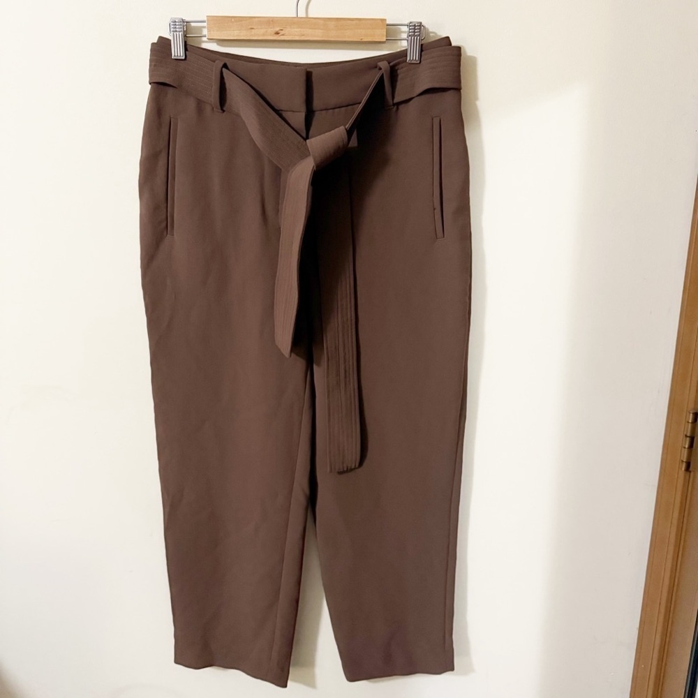 Wilfred Womens Brown Pants Size 10 Office Business Casual Belt
